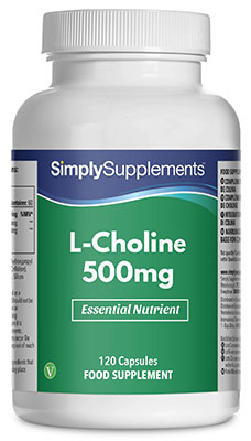 L-Cholin 500mg